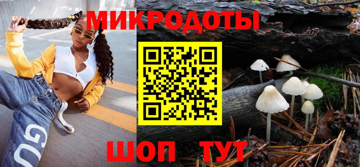 Галлюциногенные грибы Cubensis Саяногорск