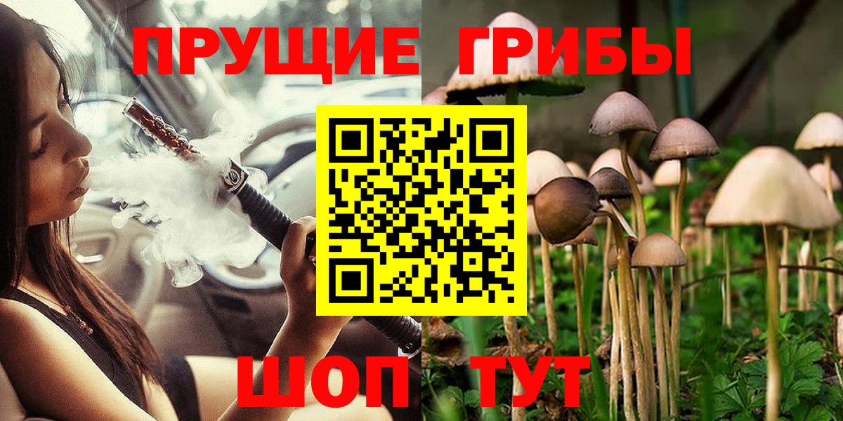 Галлюциногенные грибы Psilocybine cubensis  Вход с VPN  Саяногорск  Псилоцибиновые грибы Psilocybe 